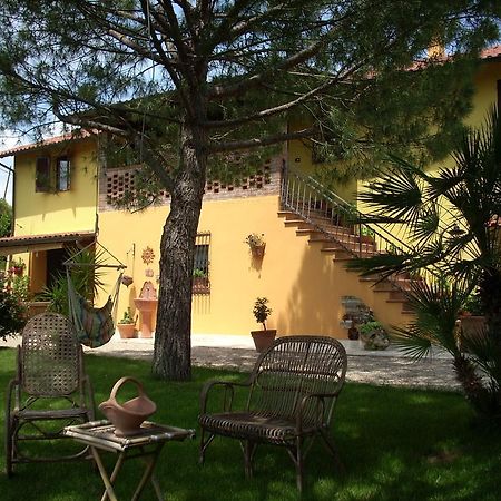 Castel di Lama B&B Piceno מראה חיצוני תמונה